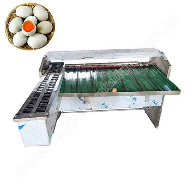 Commercial Small Scale Egg Processing Machine Grader Weight Sorting Line