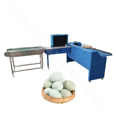 304 Stainless Steel Poultry Small Egg Grader Weight Classify Sorter Machine