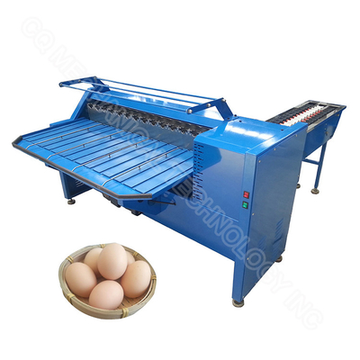 304 Stainless Steel Poultry Small Egg Grader Weight Classify Sorter Machine