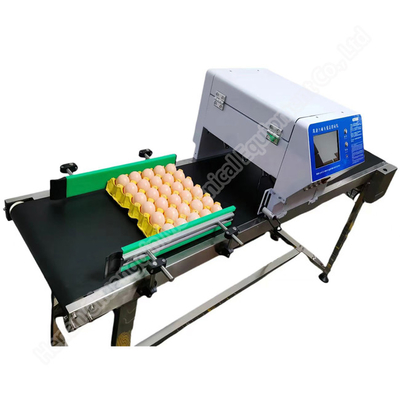 Computer Control Egg Processing Machine Inkjet Date Printing 50000pcs/H ODM
