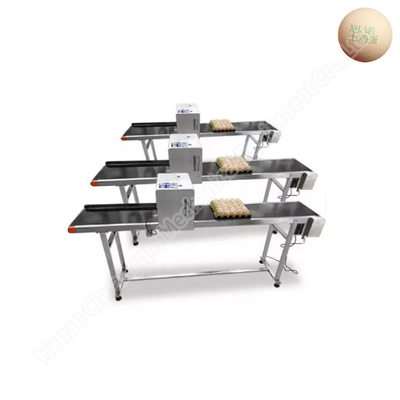 Automatic Electric Egg Processing Machine Coding Carton Printing 60kg 100w