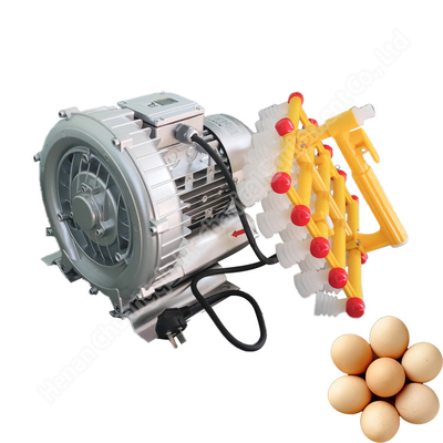 Farm Vacuum Egg Processing Machine Lifter Sucker 30pcs 60pcs