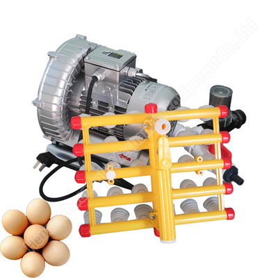 Farm Vacuum Egg Processing Machine Lifter Sucker 30pcs 60pcs
