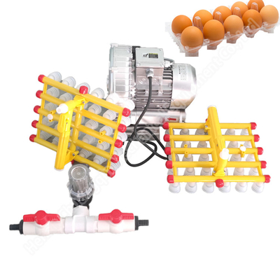Farm Vacuum Egg Processing Machine Lifter Sucker 30pcs 60pcs