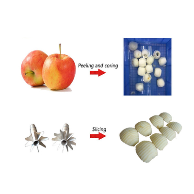 Food Grade Automatic Slinky Apple Peeler And Slicer Machine 35KG Custom