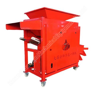 OEM Vertical Vegetable Processing Machinery Garlic Lahsun Grading