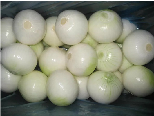 220V Commercial Vegetable Processing Machinery Onion Peeler 500kg/h