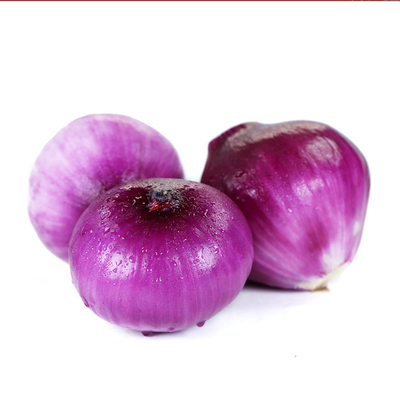 220V Commercial Vegetable Processing Machinery Onion Peeler 500kg/h