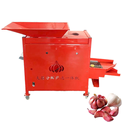 380V Electric Garlic Clove Separating Machine Four Stage Grading splitting 180kg